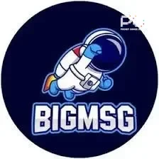 Logo bigmsg